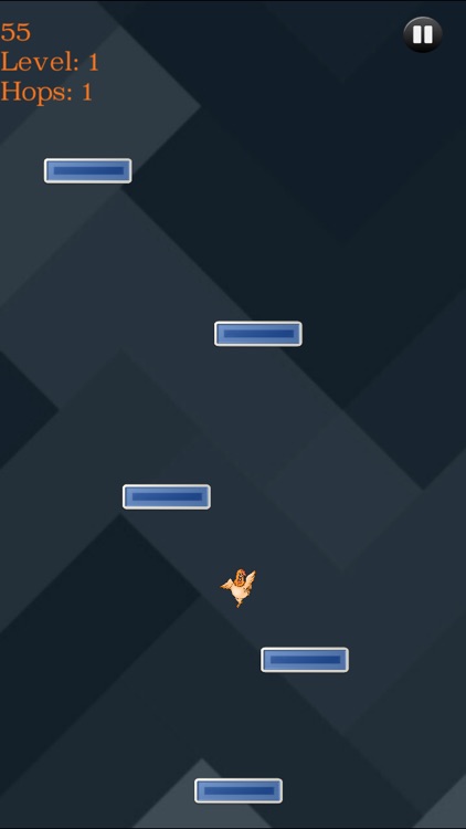 Chicken Hop - Game screenshot-3