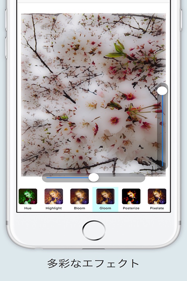 Filter - 写真にフィルタをかけシェアする最もシンプルな無料アプリ screenshot 4