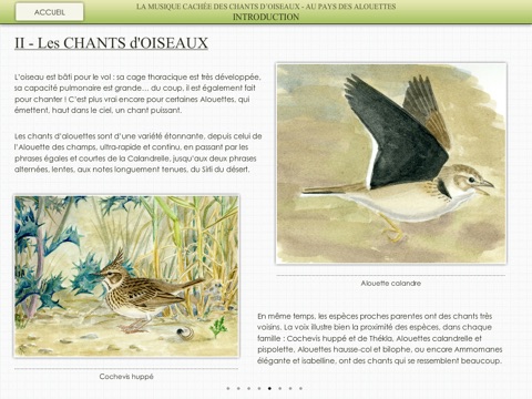 Au pays des Alouettes screenshot 2