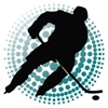 Pro Hockey Schedule 14-15