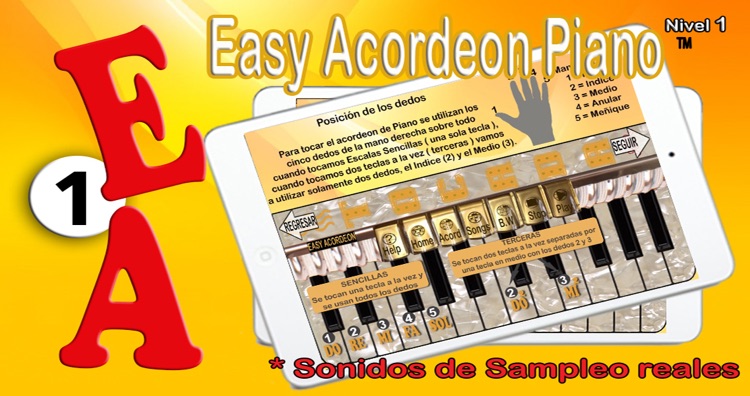 Easy Acordeon Piano 1 screenshot-4