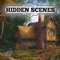 Hidden Scenes is a game similar to a jigsaw puzzle where you swap and flip the pieces to reveal the hidden scene