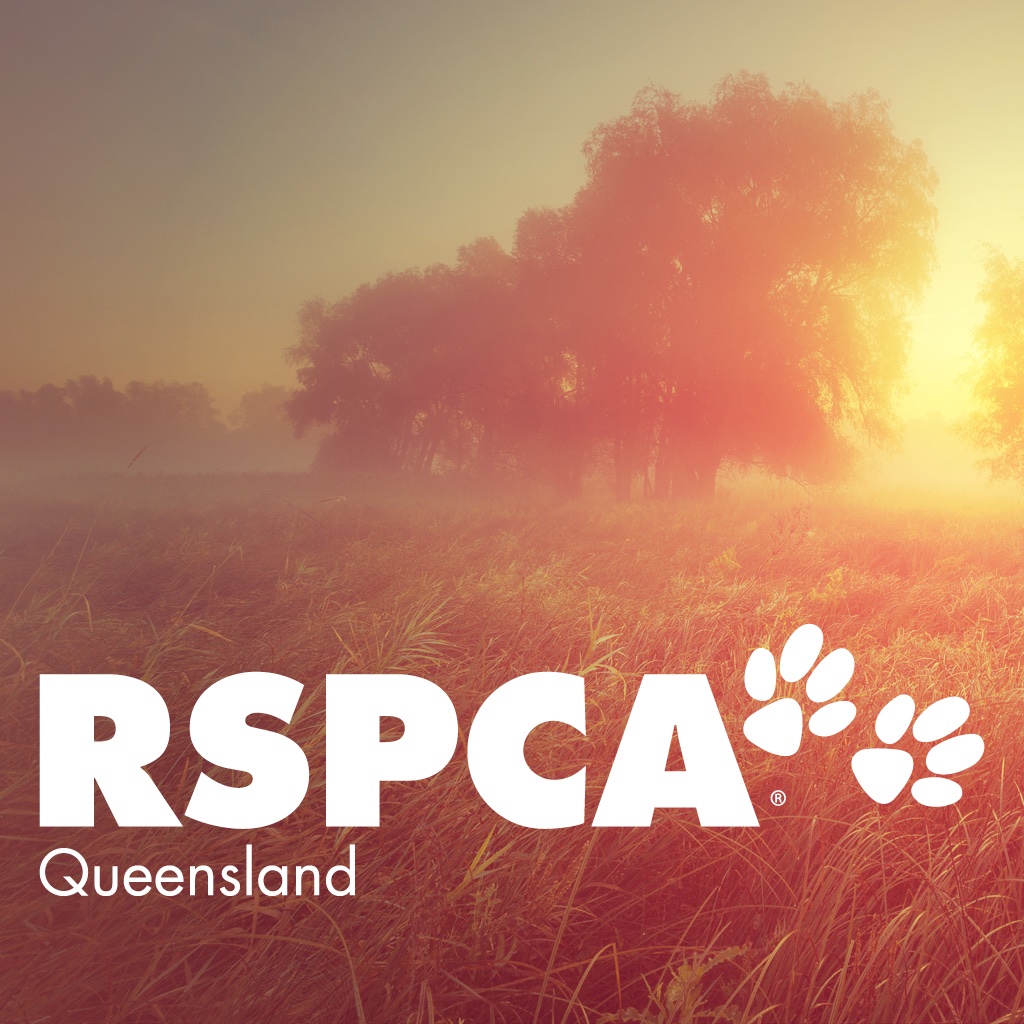 RSPCA Qld icon