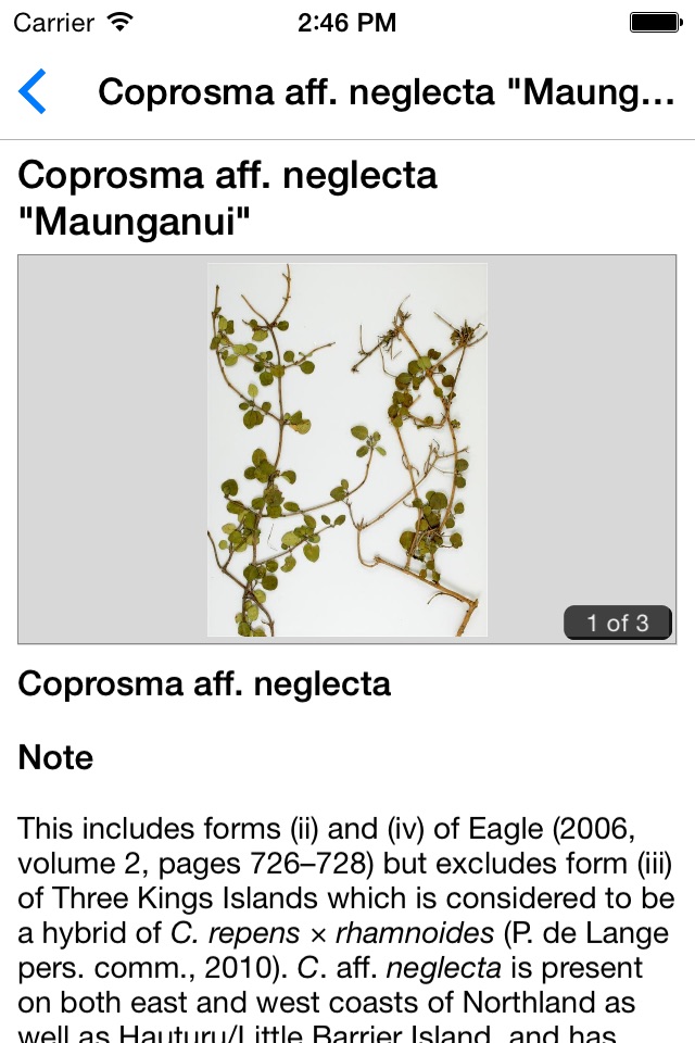 NZ Coprosma Key screenshot 4