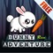 Bunny Run Adventure