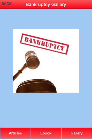 Bankruptcy Guide - Everything You Need To Know After Bankruptcy screenshot 4
