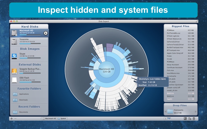 DiskExpert_Free_Up_Disk_Space.app caprure 5 5_DiskExpert_Free_Up_Disk_Space.jpg