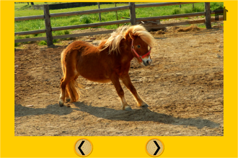 ponies dart game for kids - free game screenshot 3