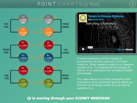 Five Element Clinic Book HD screenshot 2