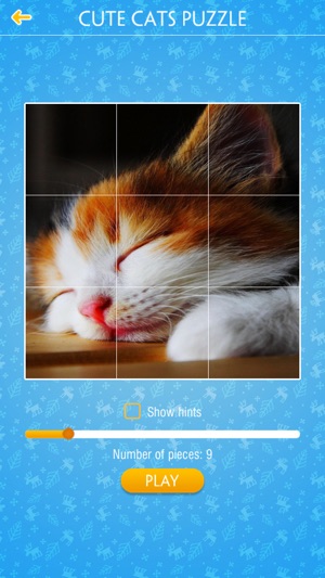 Cute Cats Jigsaw Puzzles