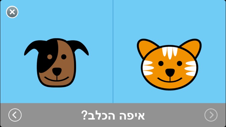 התפתחות הילד לגילאי 2-0 כללית screenshot-4