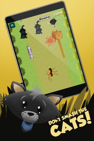 Bugs and Ants: Smash Them Dead Pro screenshot 3