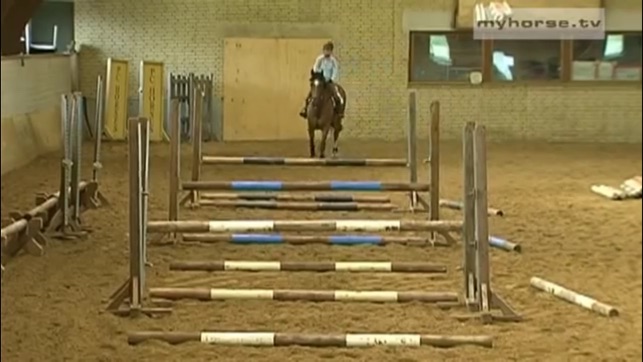 Horse Jumping Techniques(圖4)-速報App