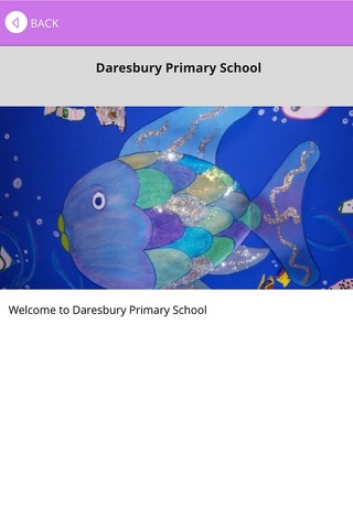 Daresbury Primary School screenshot 2