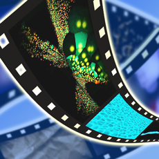 iMovie 特效剪辑 for mac