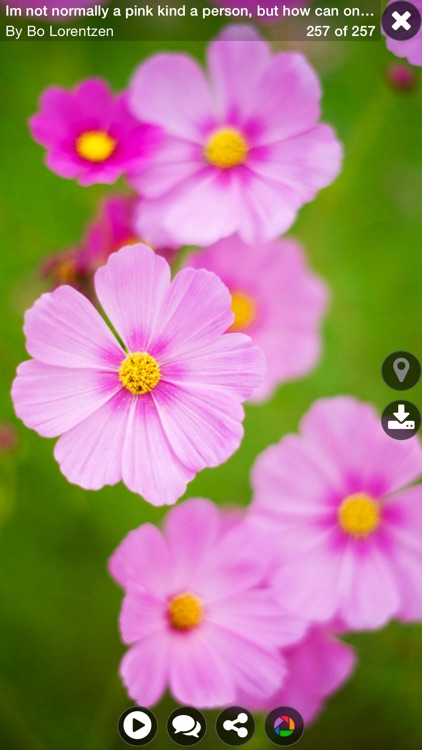 Explorer for Picasa Photo Albums Pro