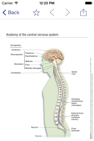 CNS MINIATLAS screenshot 2