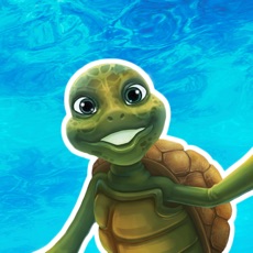 Activities of Floatie Turtle