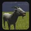 Goat Run Simulator
