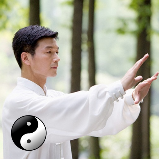 Qigong Guide - Everything You Need To Know About Qi Gong ! icon