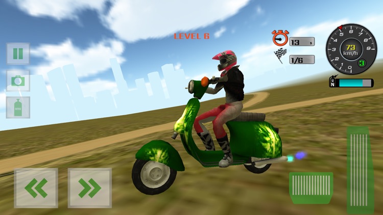 Crazy Motorbike Driver