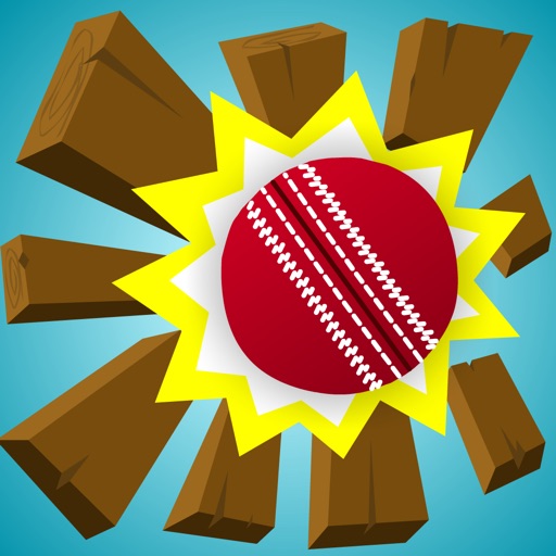 Swing and Smash Cricket icon