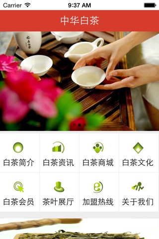 中华白茶 screenshot 3
