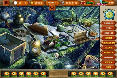 Hidden Object : Fear Of The Dark screenshot 2