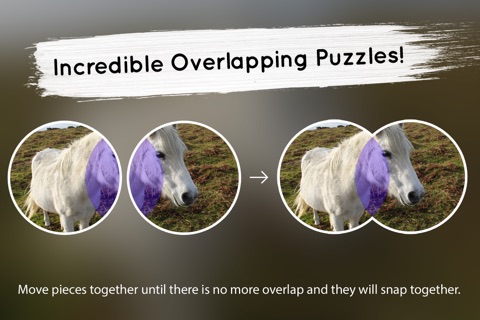 Venn Horses: Overlapping Jigsaw Puzzles screenshot 2