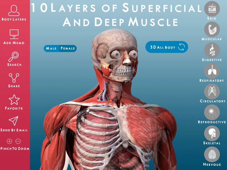 Anatomy and Physiology 3D : Anatomical Model of the Human Body screenshot-0