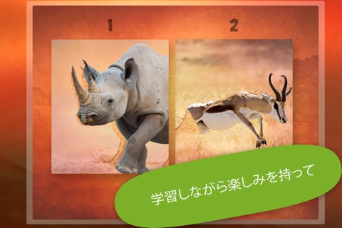 Play with Wildlife Safari Animals Jigsaw Game photo for toddlers and preschoolers screenshot 2