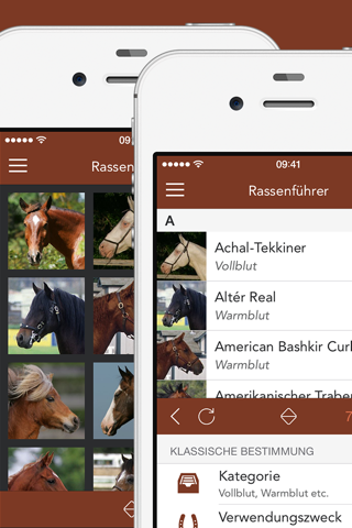 iKnow Horses 2 PRO - The Reference Work screenshot 2