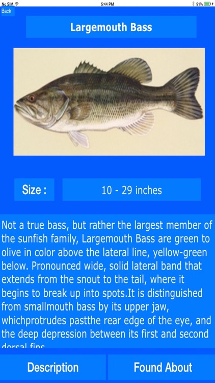 Fishing Spots around USA screenshot-4
