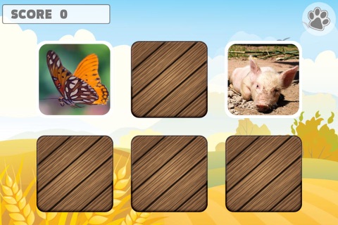 Animal Memory Matching Games for kids screenshot 3