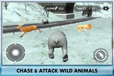 Wild Bear Attack Simulator 3D – lives life of polar bear & hunt down the jungle animals screenshot 3