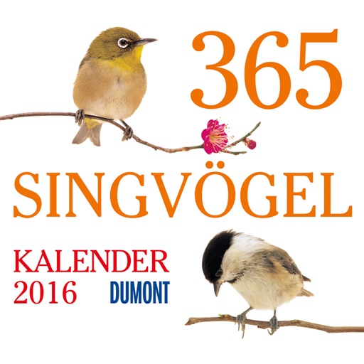 365 Singvögel 2016 – DuMont Kalender