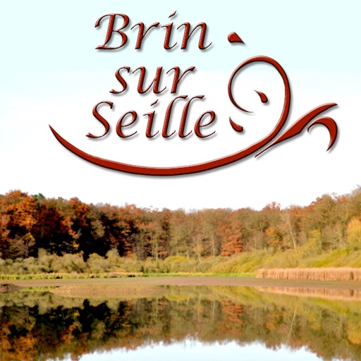 Commune de Brin-sur-Seille icon