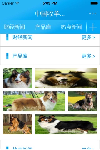 中國牧羊犬俱乐部 screenshot 2