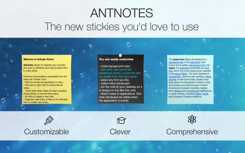 Simple Antnotes Screenshot
