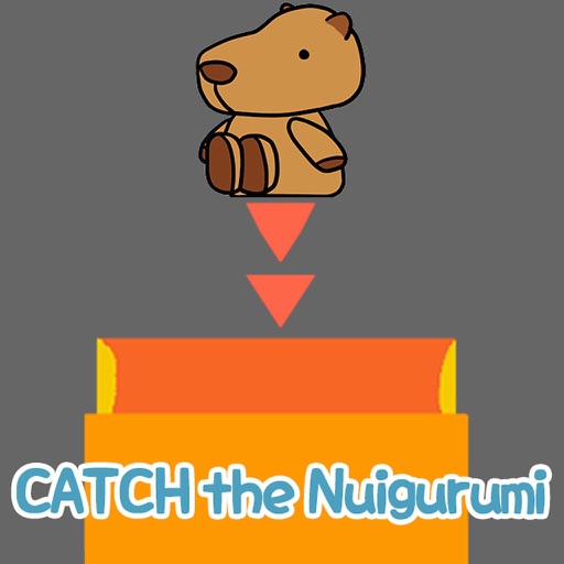 catchTheNuigurumi