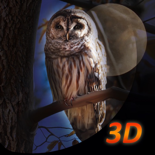 Owl Bird Survival Simulator 3D Free iOS App