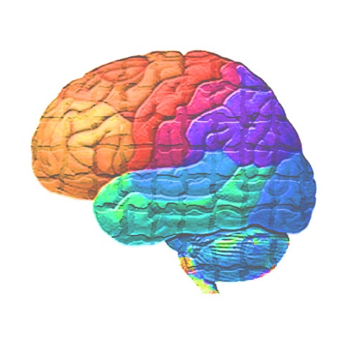 Brain wars icon