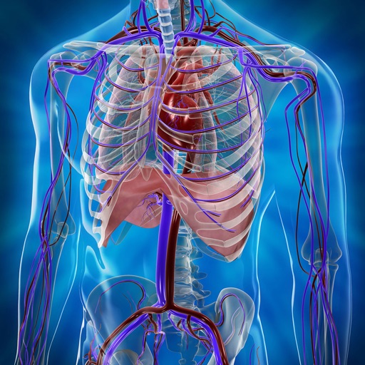Full Atlas of Human Anatomy - Human Body Anatomy with all Human Organs ! icon