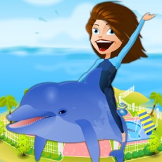 Activities of Dolphin Park