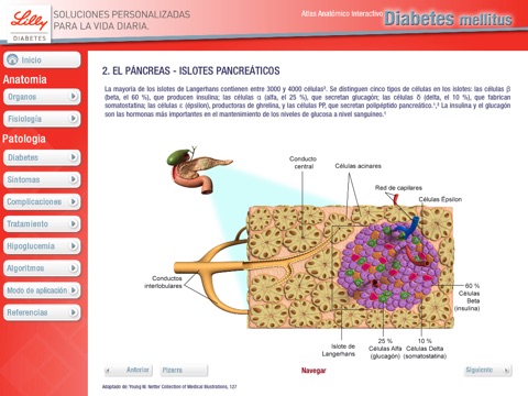 Atlas Diabetes Mellitus Venezuela screenshot 2