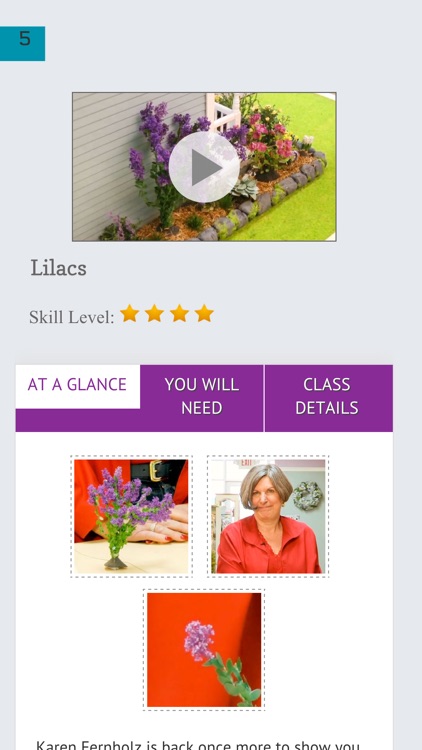 Flowers and Plants in Miniature