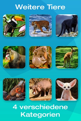 Safari and Jungle Animal Picture Flashcards for Babies, Toddlers or Preschool screenshot 4