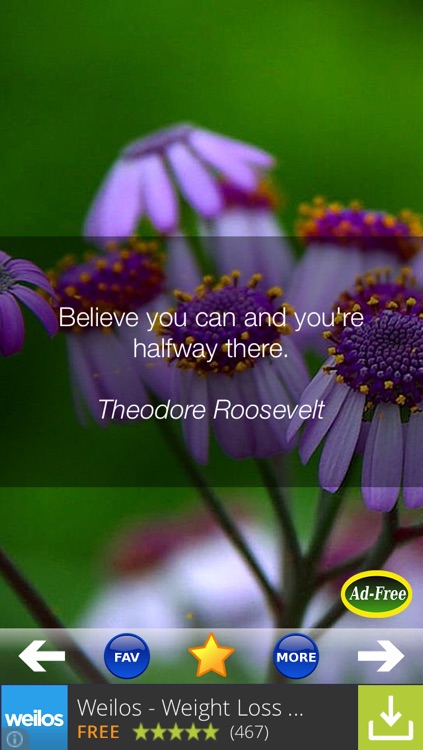 Best Self-Help Quotes FREE! Inspirational and Motivational Wisdom Sayings for Daily Healing, Stress Solutions & Anxiety Management!