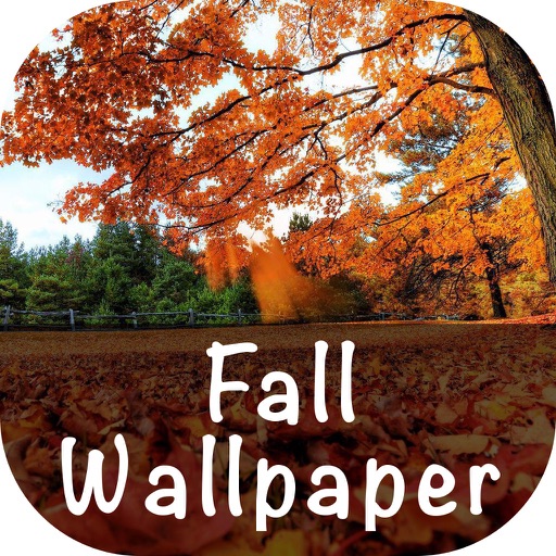 Fall Wallpaper icon