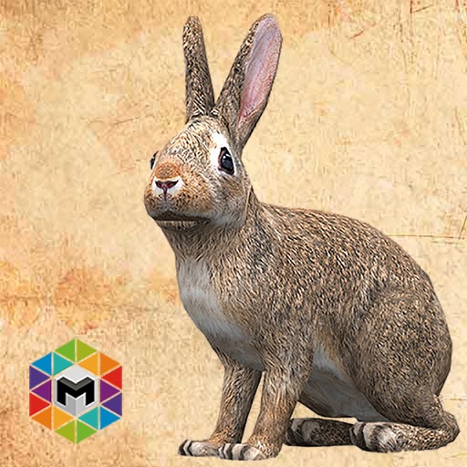 Rabbit Simulator Icon